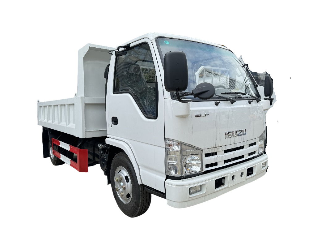 ISUZU 100P شاحنة قلابة خفيفة