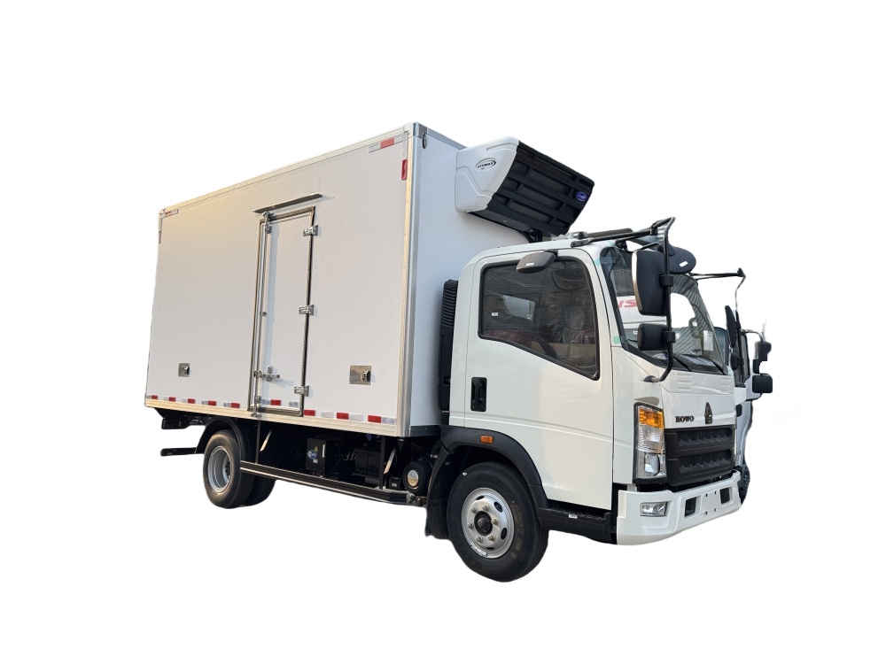 HOWO 4.2M refrigerator truck with Carrier refrigeration unit