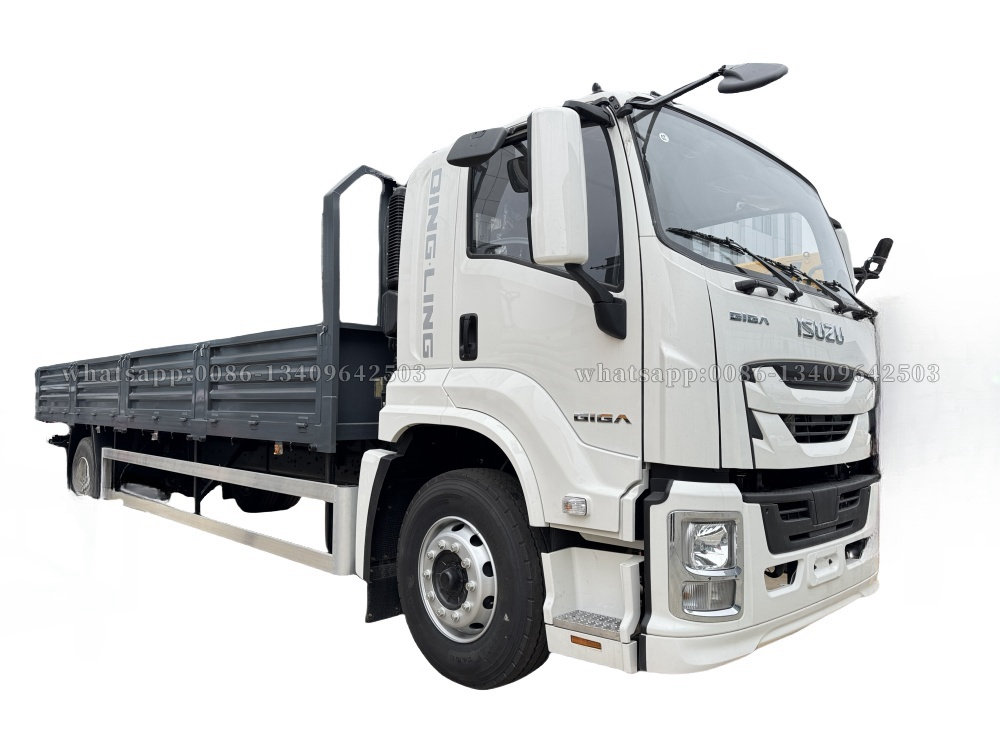 ISUZU GIGA cargo truck 205HP 4X Cab